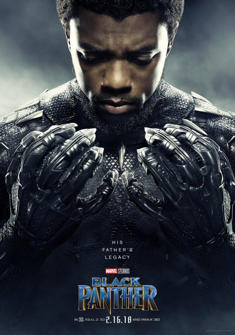 Black Panther in Hindi full Movie Download Dual Audio Free