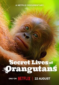 Secret Lives of Orangutans (2024) full Movie Download Free in Dual Audio HD